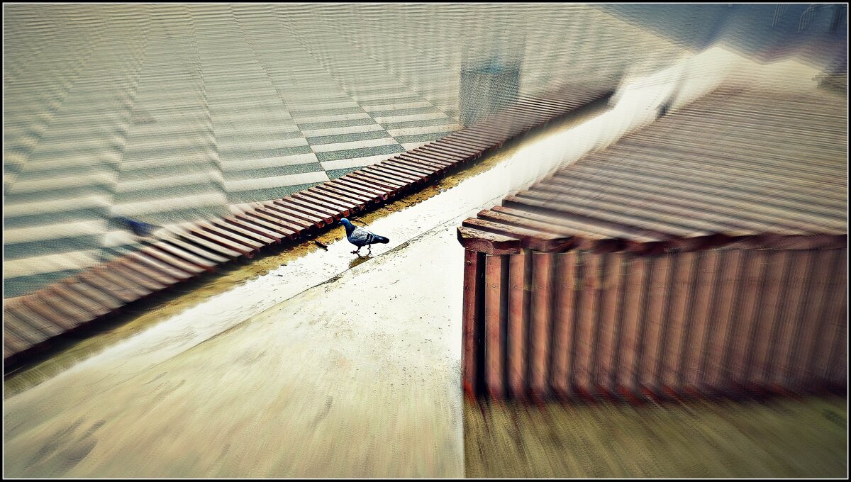 а нам и в дождик весело шагать.... - Любовь 