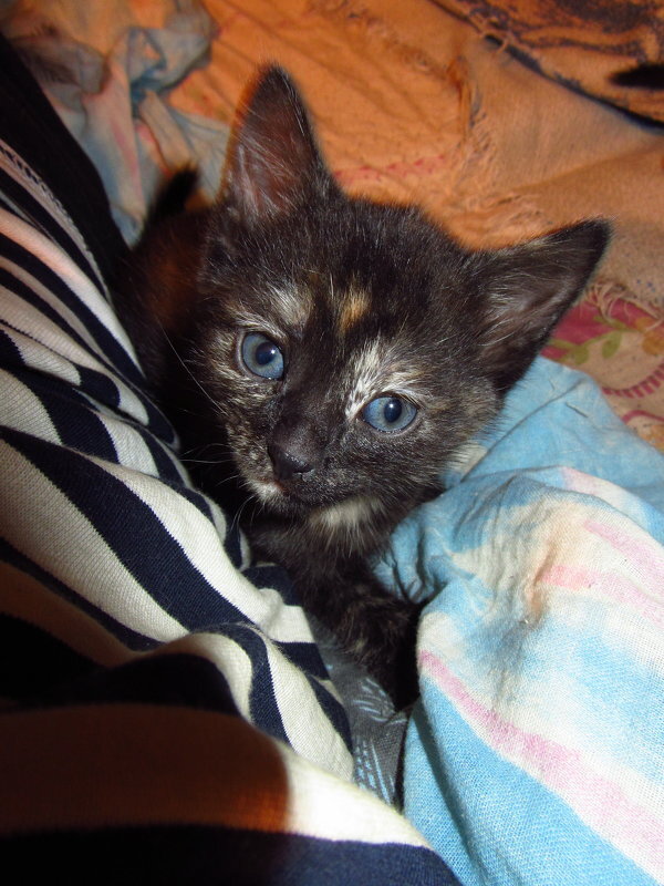 Фотография - чтобы лучше помнилось - Андрей Лукьянов