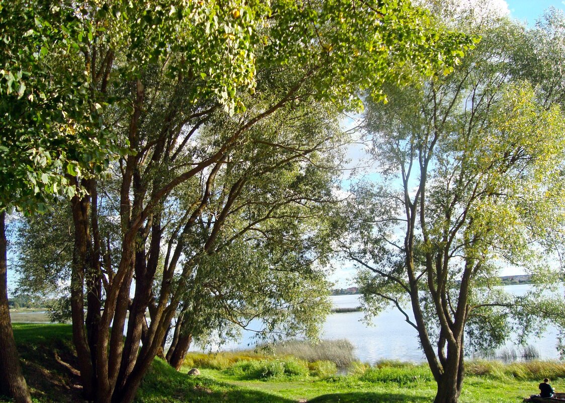 природа - марта Камушкина природа - марта Камушкина