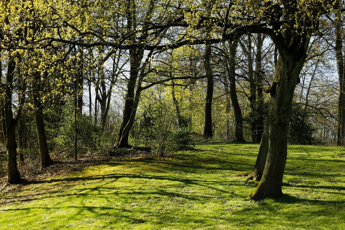 Март - Юрий. Шмаков