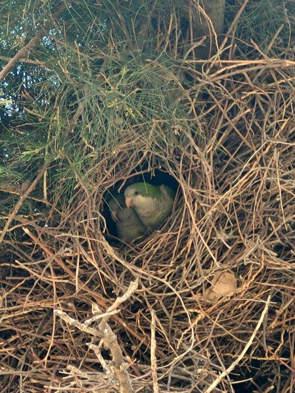 В домике - Светлана Хращевская