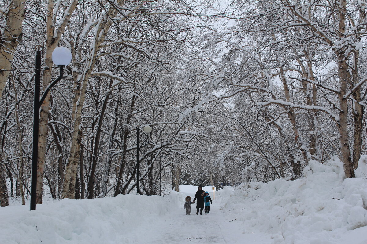 Прошел весенний циклон - Александр Белов Прошел весенний циклон - Александр Белов