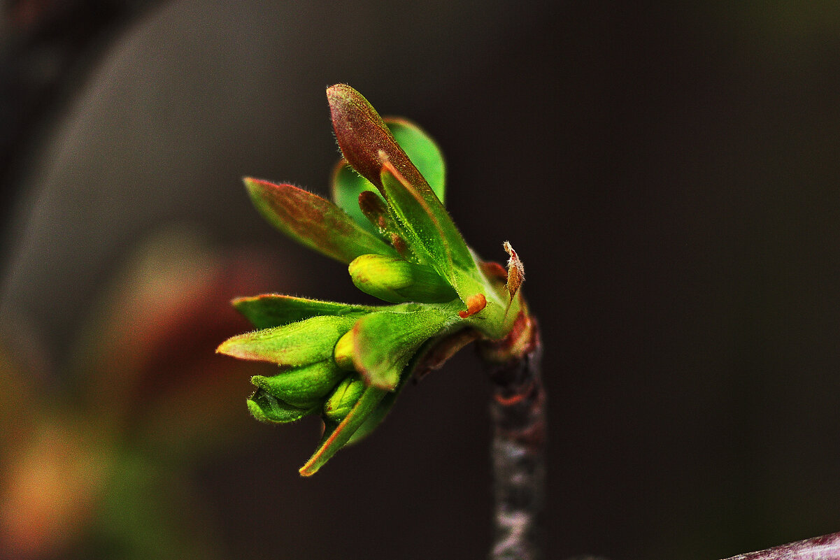 Весеннее - Юрий Гайворонскiий