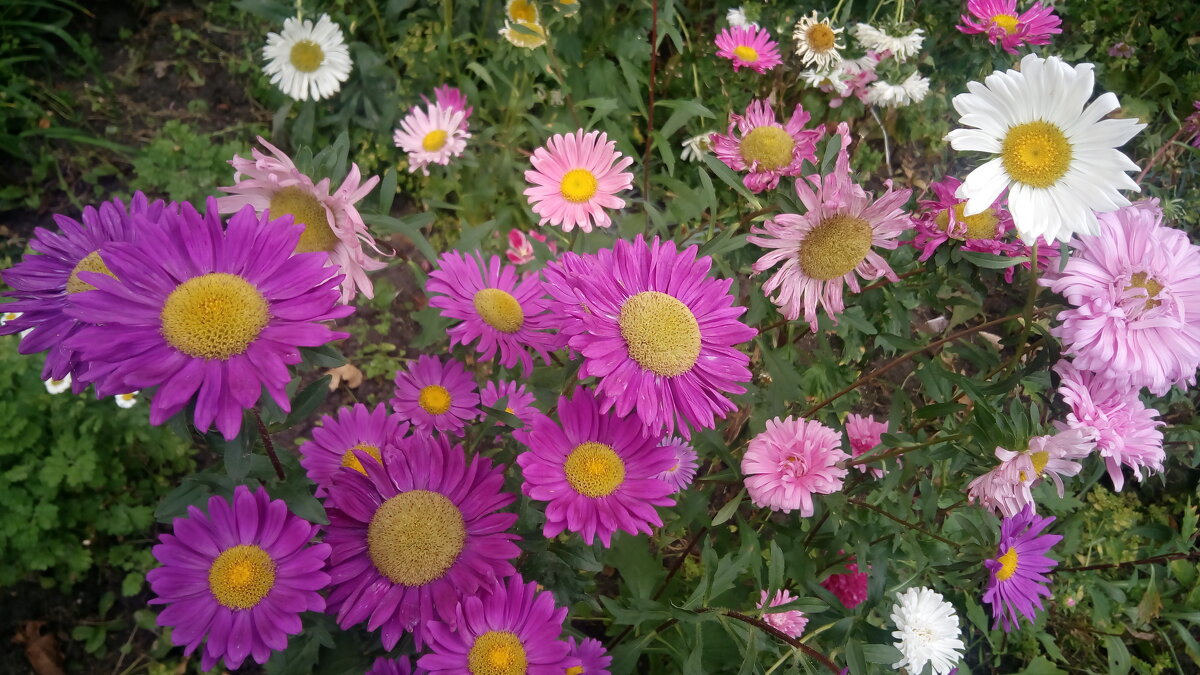 ,,, - Сергей Тимоновский ,,, - Сергей Тимоновский