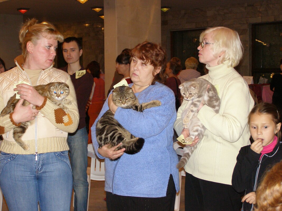 А кошки есть. Они не могут не есть. - Николай ntv А кошки есть. Они не могут не есть. - Николай ntv