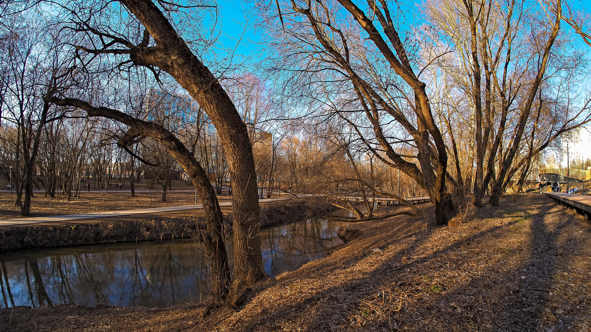 ***** - юрий поляков