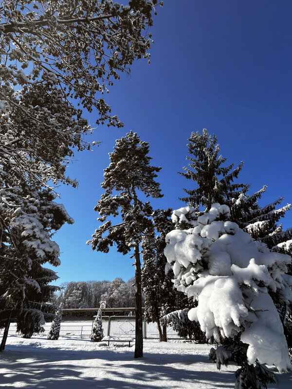 Одним зимним днём - Батик Табуев Одним зимним днём - Батик Табуев