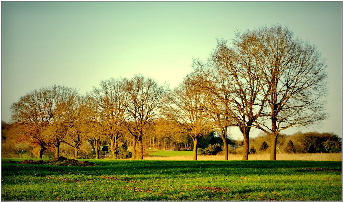 СОЛНЕЧНЫЙ ДЕНЬ... - Elvira E. СОЛНЕЧНЫЙ ДЕНЬ... - Elvira E.
