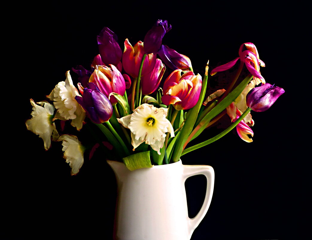 Тюльпаны и нарциссы - Елена Куприянова 