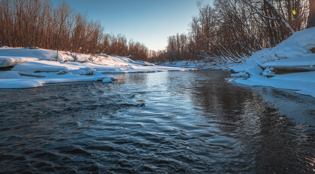 ... - Жора Житников ... - Жора Житников