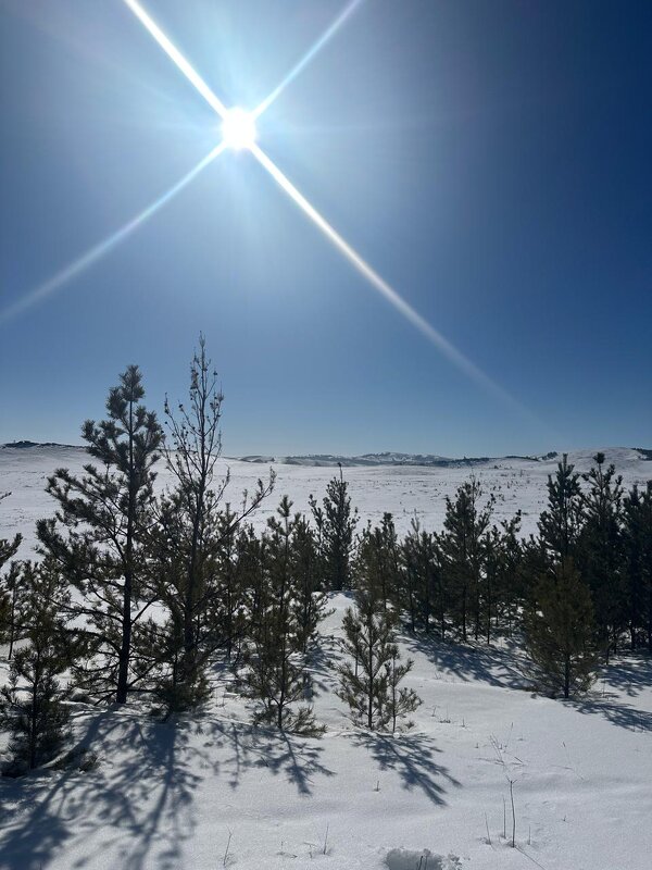 Звезда - Георгиевич Звезда - Георгиевич