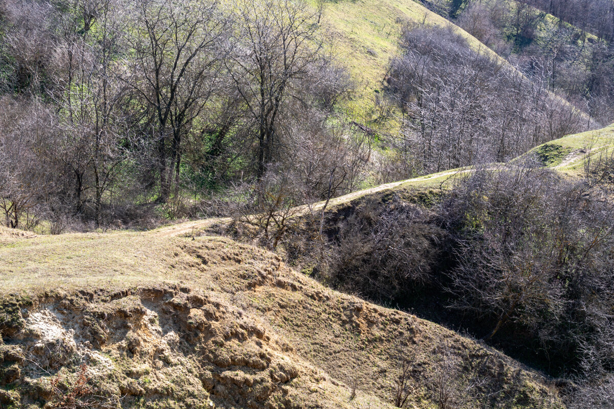 Тропинка по верху горы - Игорь Сикорский