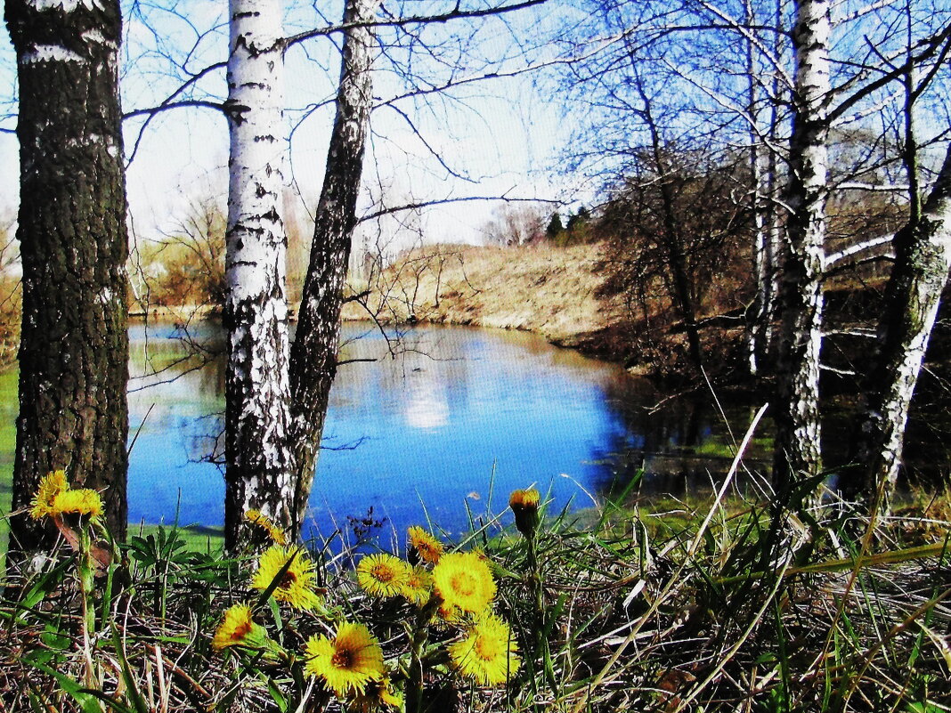 Красота природы - Людмила Смородинская Красота природы - Людмила Смородинская