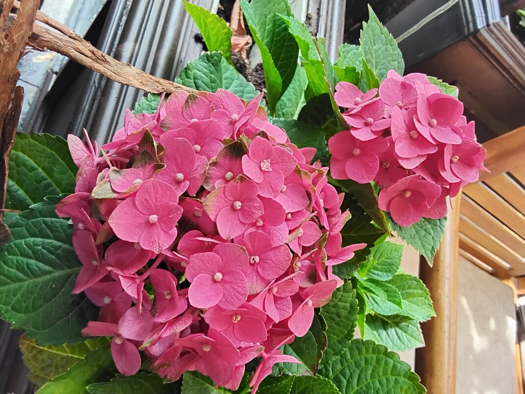 Яркий цвет - Дмитрий Никитин Яркий цвет - Дмитрий Никитин