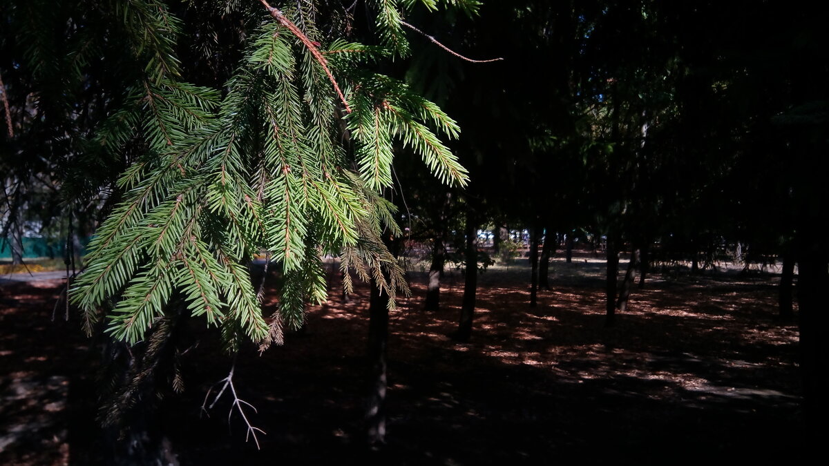 ,,, - Сергей Тимоновский ,,, - Сергей Тимоновский