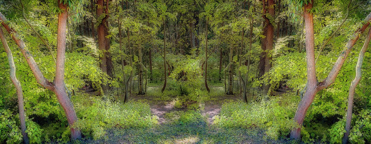 Городские джунгли - Владимир Кроливец Городские джунгли - Владимир Кроливец