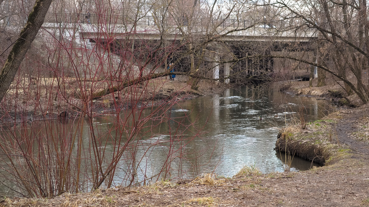 ***** - юрий поляков