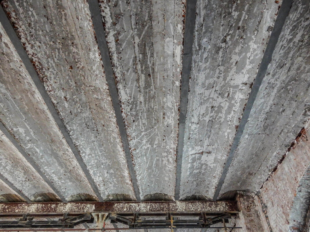 своды "Монье" - Сергей Лындин своды "Монье" - Сергей Лындин