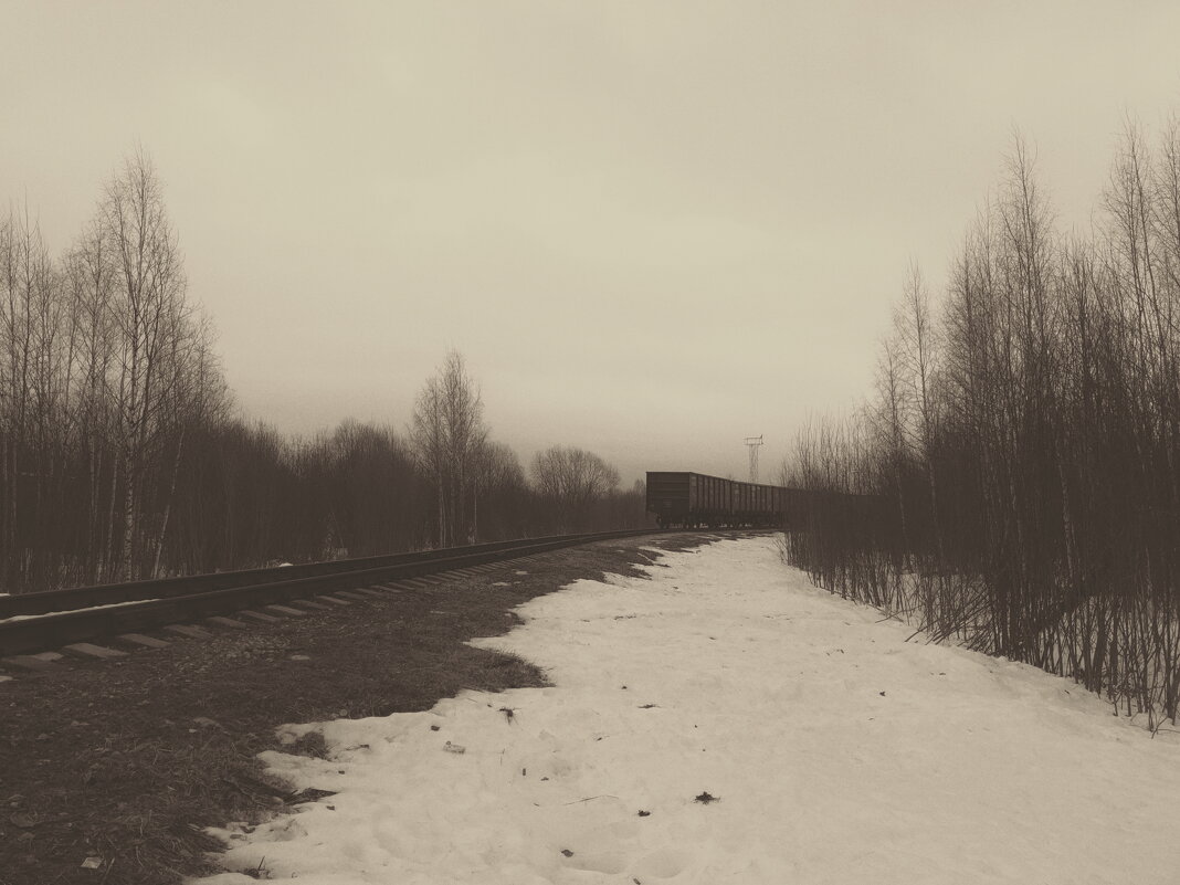 Название отсутствует - Денис Безногов Название отсутствует - Денис Безногов