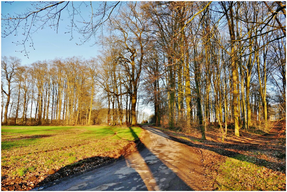 В СОЛНЕЧНЫЙ ДЕНЬ... - Elvira E. 