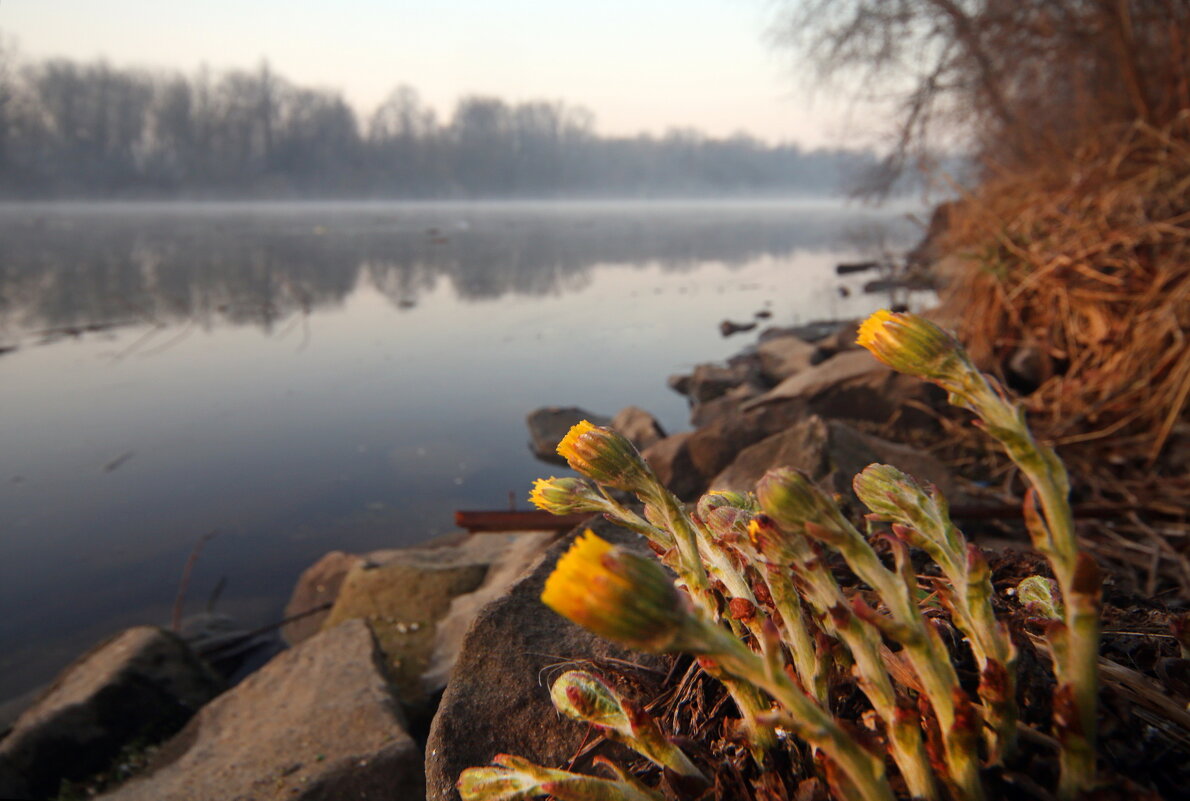 Коломенская набережная утром 29 марта - Михаил Бибичков