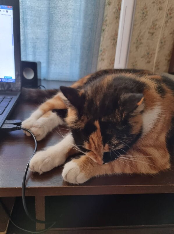 Уныние, переходящее в сон... - Наталья Уныние, переходящее в сон... - Наталья