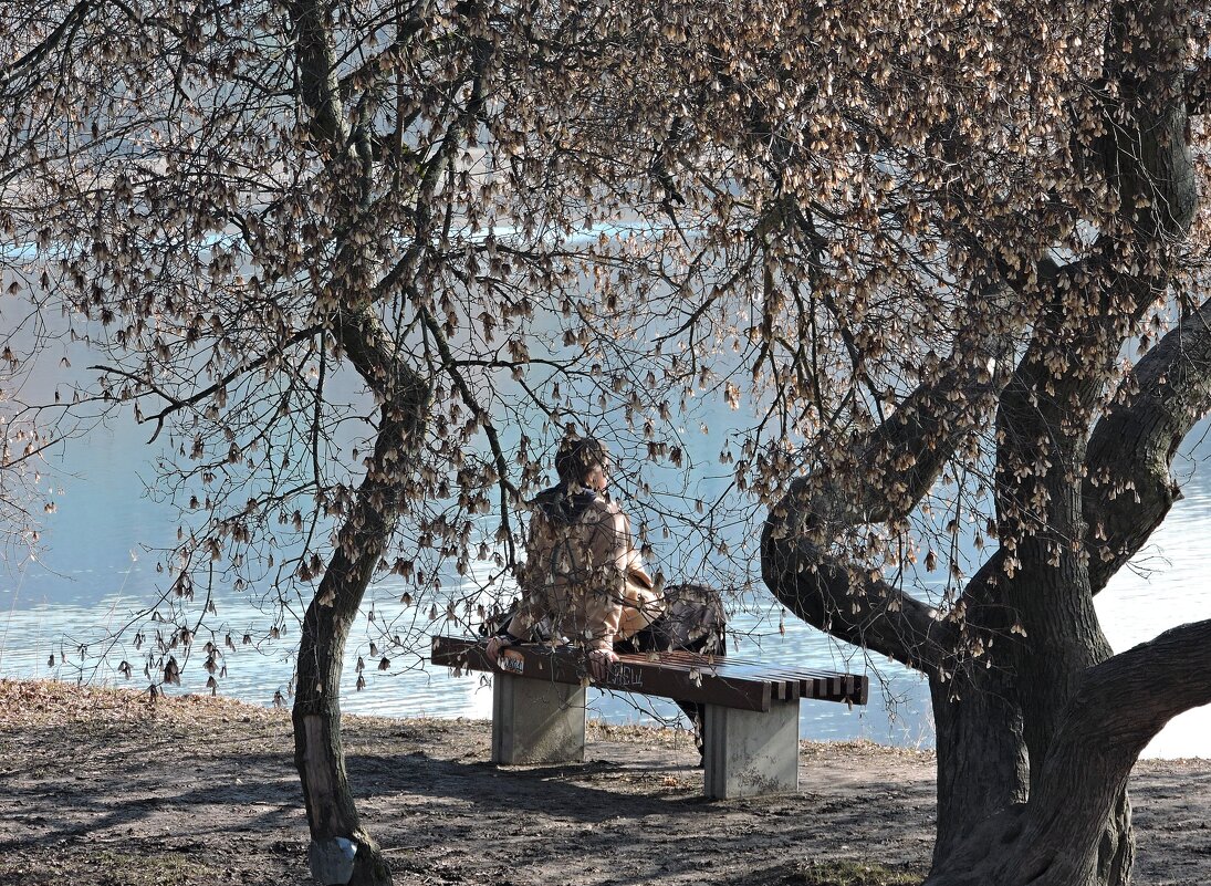 Солнечным днём в марте... - Мария Васильева Солнечным днём в марте... - Мария Васильева