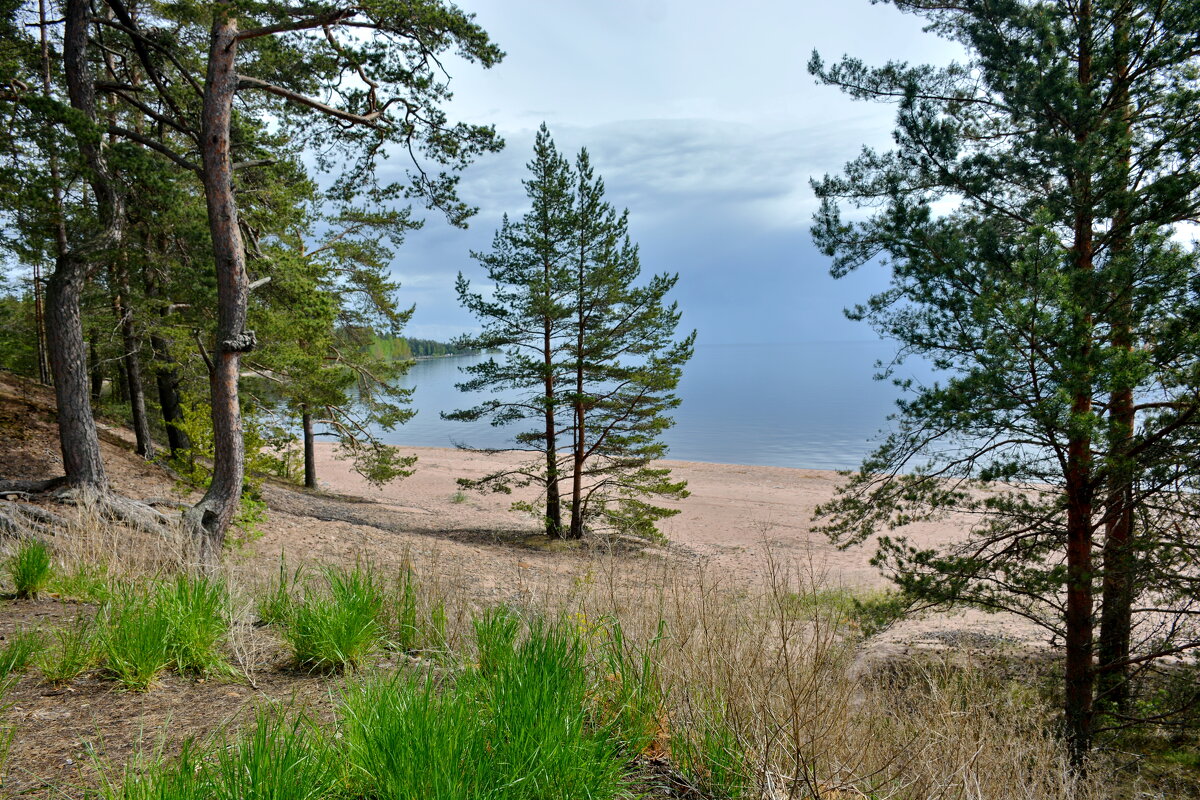 Остров Коневец - Леонид Иванчук