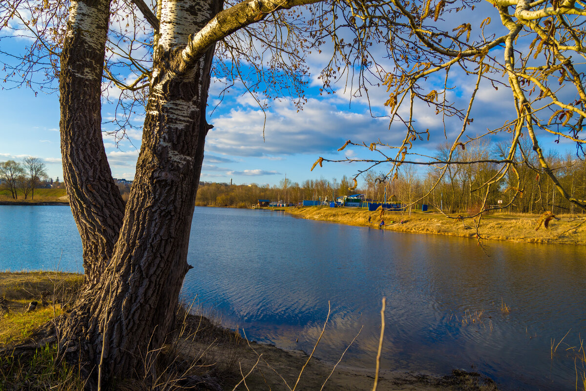 Бухта капитанов - Андрей Сосновский
