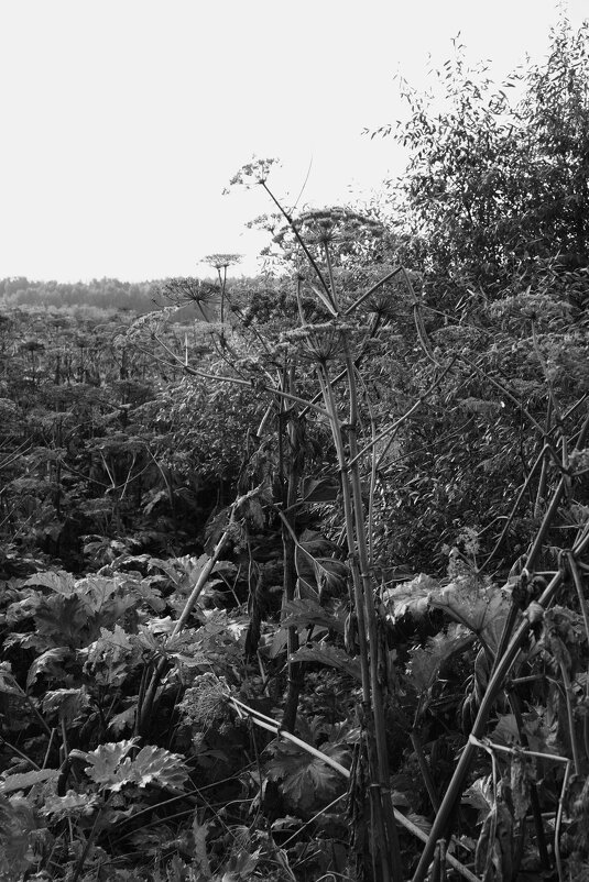 Название отсутствует - Денис Безногов