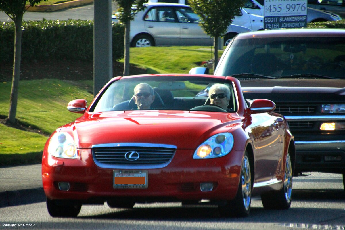 Внуков навестить - Sergey Krivtsov Внуков навестить - Sergey Krivtsov