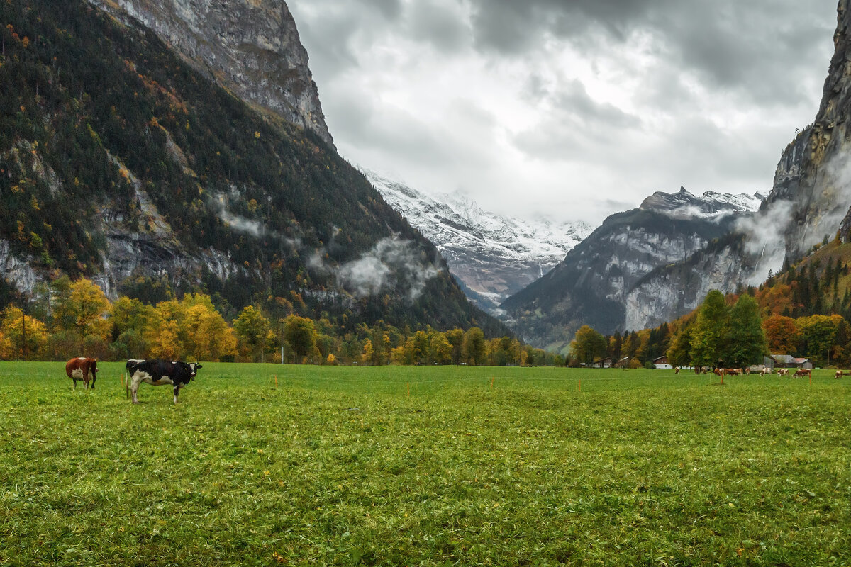 Швейцария - Владимир Колесников Швейцария - Владимир Колесников