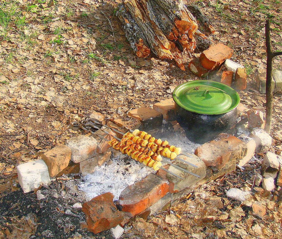 Пикник с шашлыком и ухой - Сергей М 