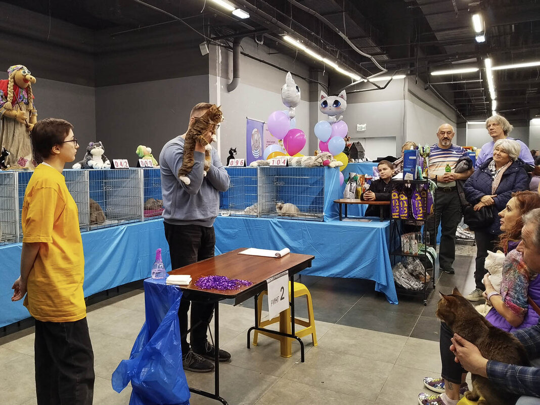 ГАГАРИНСКИЕ_КОШКИ_9 - Сергей Янович Микк ГАГАРИНСКИЕ_КОШКИ_9 - Сергей Янович Микк