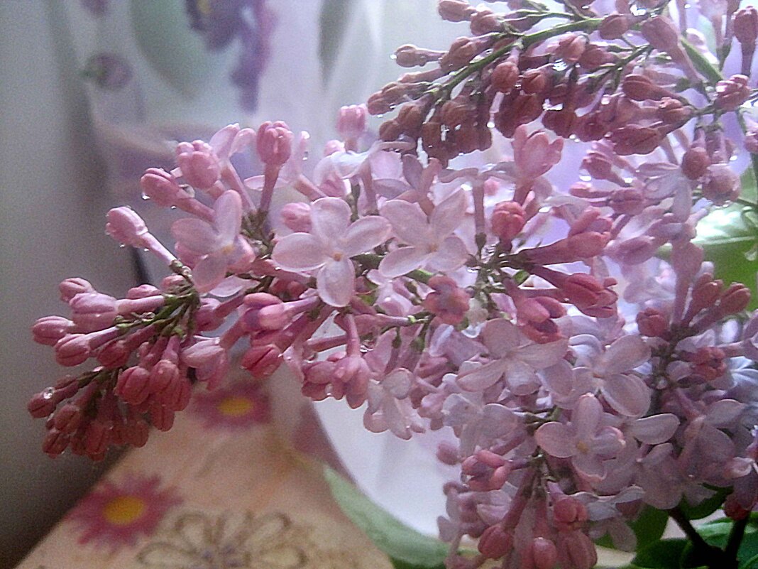 Весеннее - Елена Семигина Весеннее - Елена Семигина