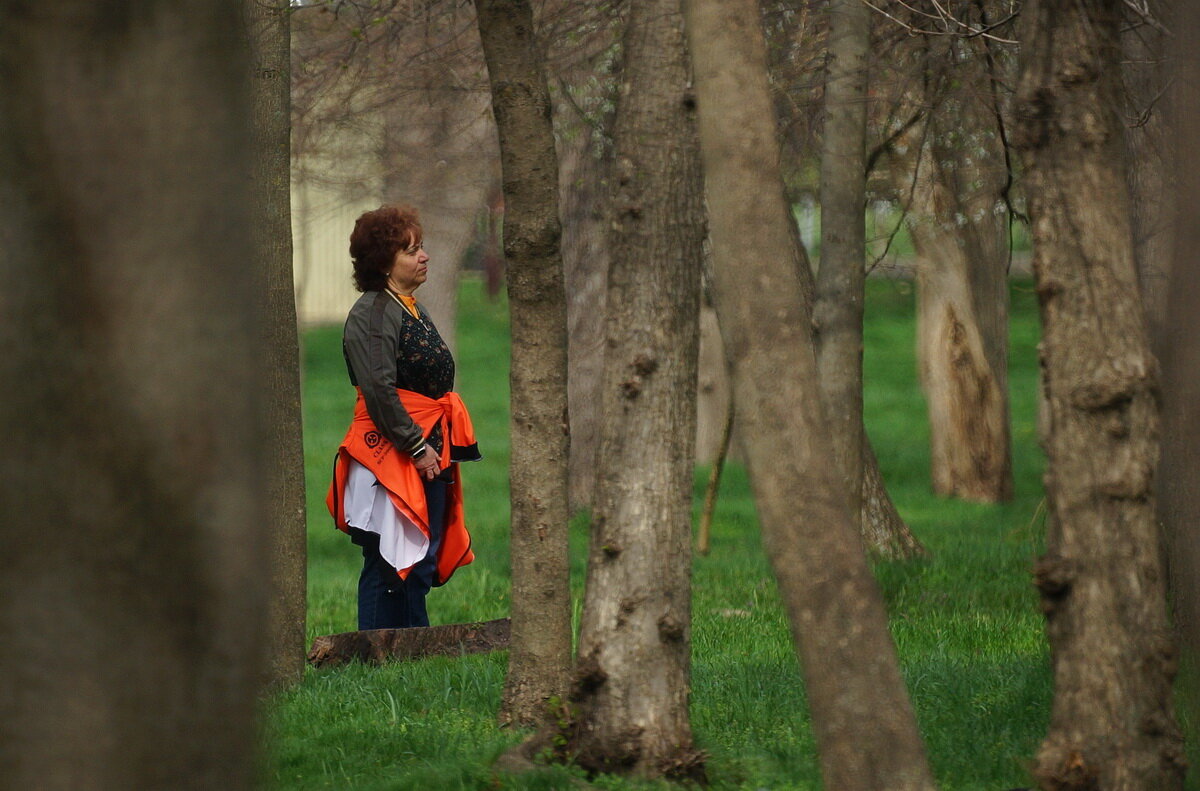 В парке... - Николай Саржанов В парке... - Николай Саржанов