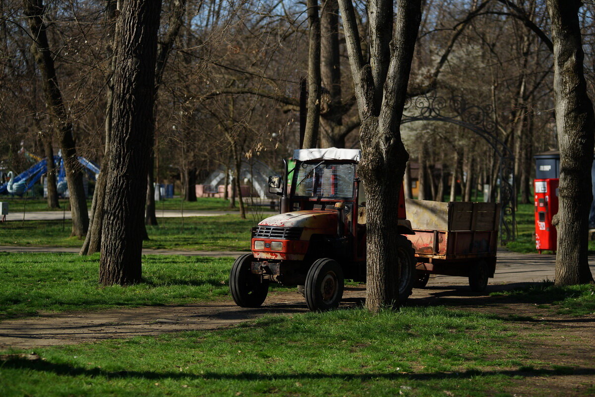 В парке... - Николай Саржанов В парке... - Николай Саржанов