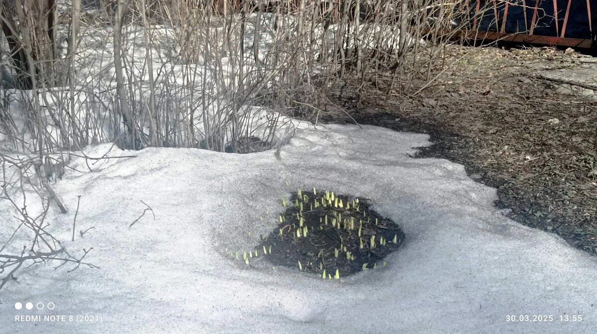 на носу апрель - Ольга Конькова