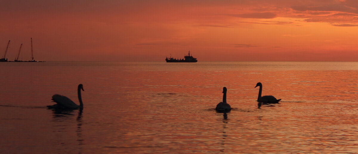 Чарующий вечер - Августина Чарующий вечер - Августина