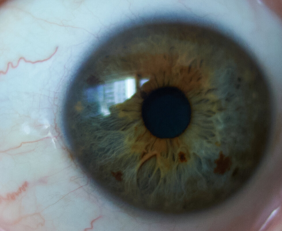 зрачок - Александр Леонов зрачок - Александр Леонов