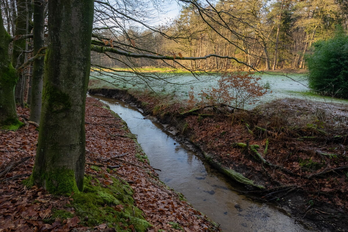 Ручей в лесопарке... - Николай Гирш Ручей в лесопарке... - Николай Гирш