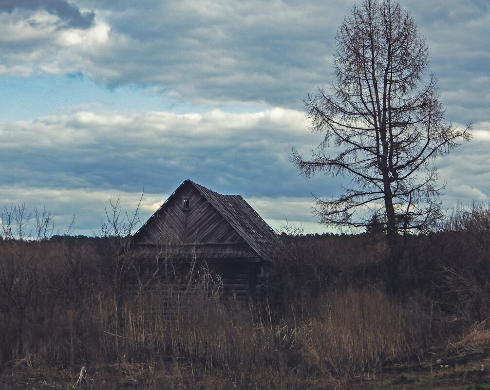 Отжившее1 - Валерий Кролик Отжившее1 - Валерий Кролик