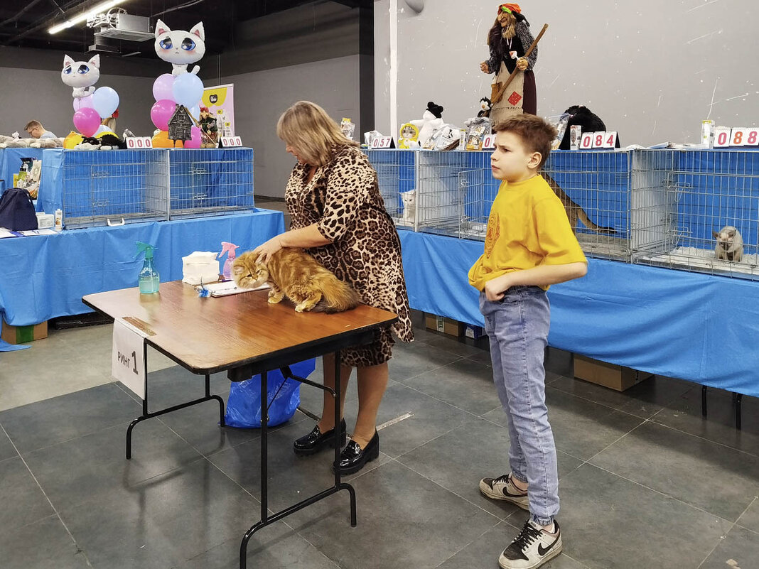 ГАГАРИНСКИЕ_КОШКИ_14 - Сергей Янович Микк ГАГАРИНСКИЕ_КОШКИ_14 - Сергей Янович Микк