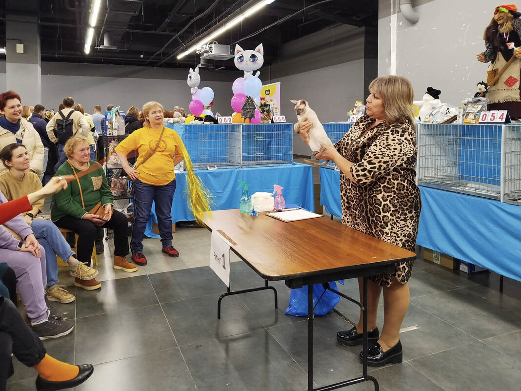 ГАГАРИНСКИЕ_КОШКИ_12 - Сергей Янович Микк