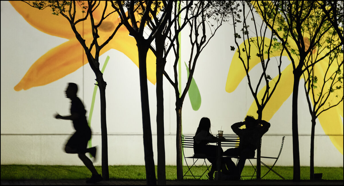 Вечером - **** vedin