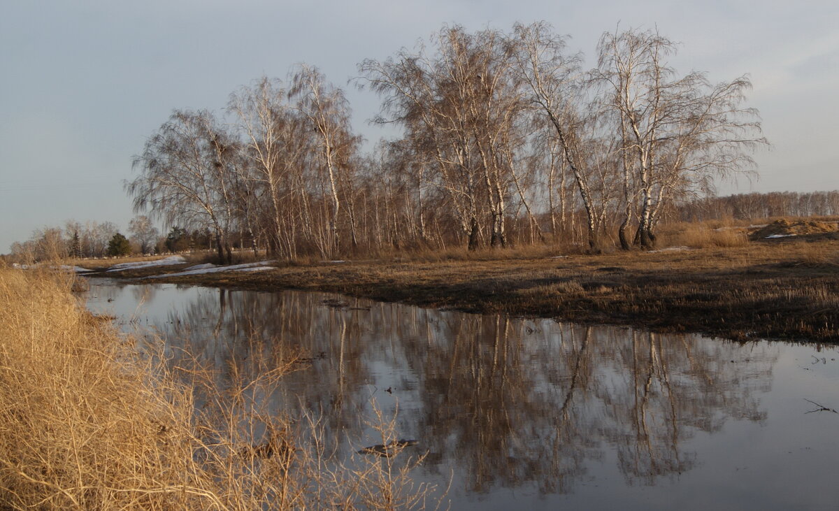 Весна. - сергей ермошкин Весна. - сергей ермошкин