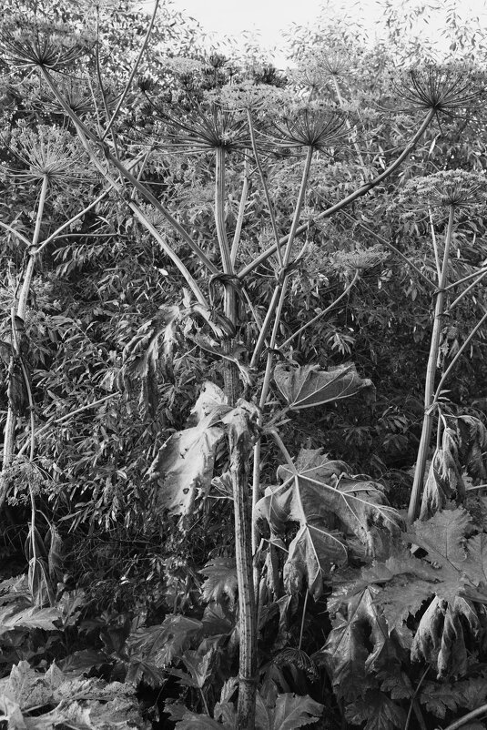 Название отсутствует - Денис Безногов Название отсутствует - Денис Безногов