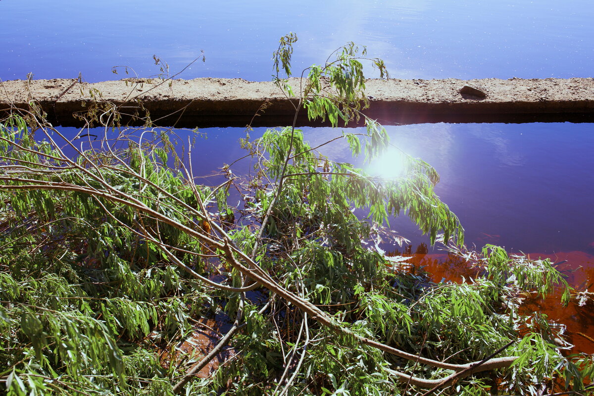 Название отсутствует - Денис Безногов Название отсутствует - Денис Безногов