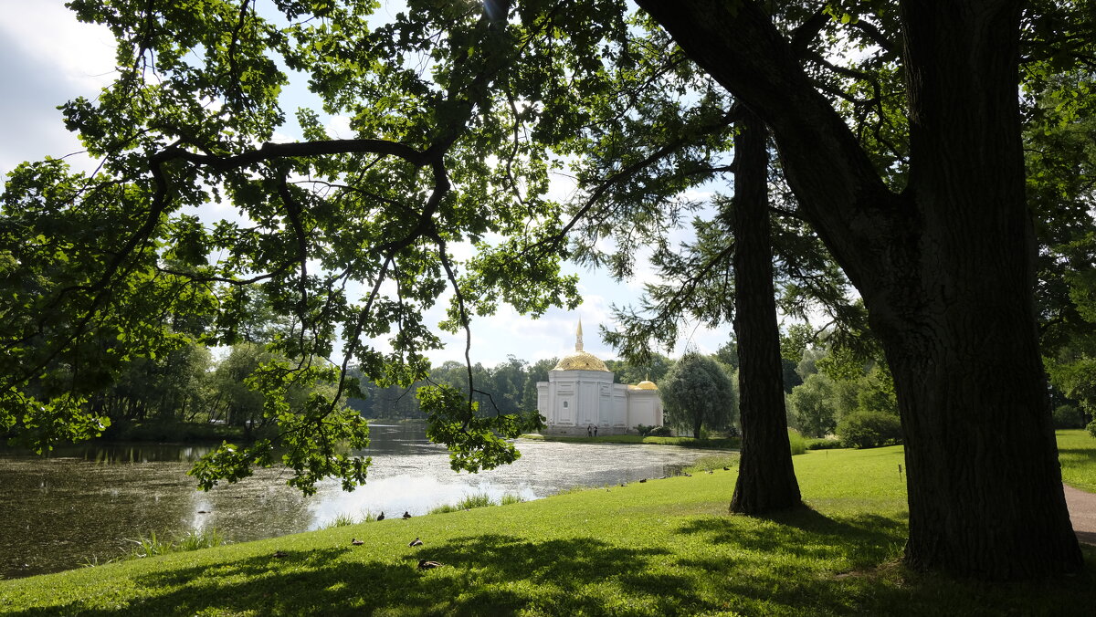 Царское Село, большой пруд. - Олег Зоркий