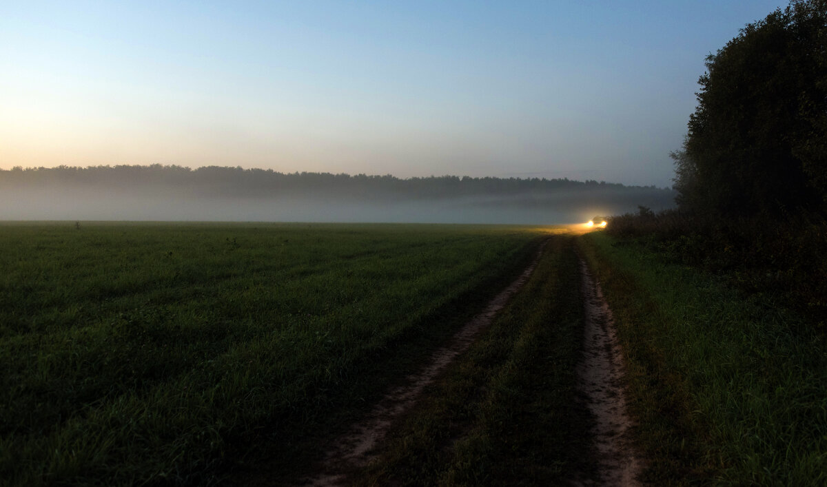 *** - Владимир Безбородов